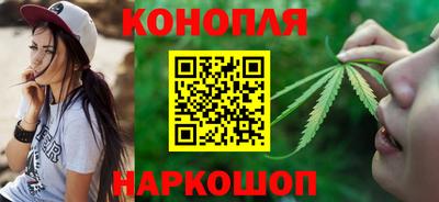 гидра Краснознаменск