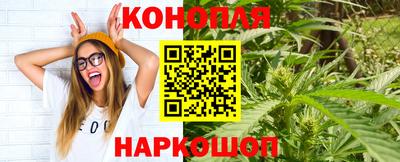 гидра Краснознаменск