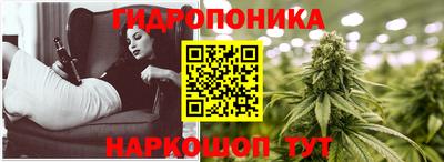 гидра Краснознаменск