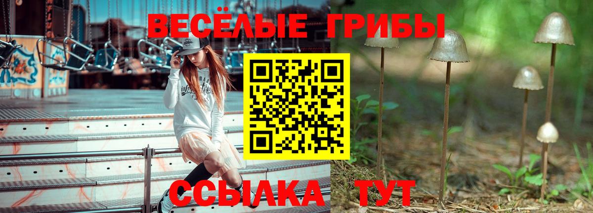 Галлюциногенные грибы GOLDEN TEACHER  Вход с VPN  Бугуруслан 